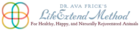 Dr. Ava Frick Animal HTMA Test | Nutrients Deficiency and Heavy Metal Toxicity Test | Holistic Healthcare for Dogs & Cats