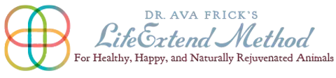 Dr. Ava Frick Animal HTMA Test | Nutrients Deficiency and Heavy Metal Toxicity Test | Holistic Healthcare for Dogs & Cats