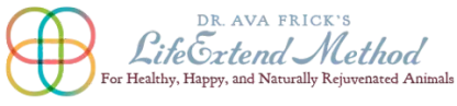 Dr. Ava Frick Animal HTMA Test | Nutrients Deficiency and Heavy Metal Toxicity Test | Holistic Healthcare for Dogs & Cats