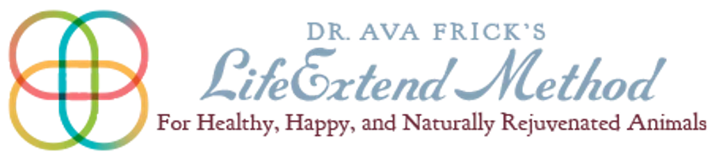 Dr. Ava Frick Animal HTMA Test | Nutrients Deficiency and Heavy Metal Toxicity Test | Holistic Healthcare for Dogs & Cats
