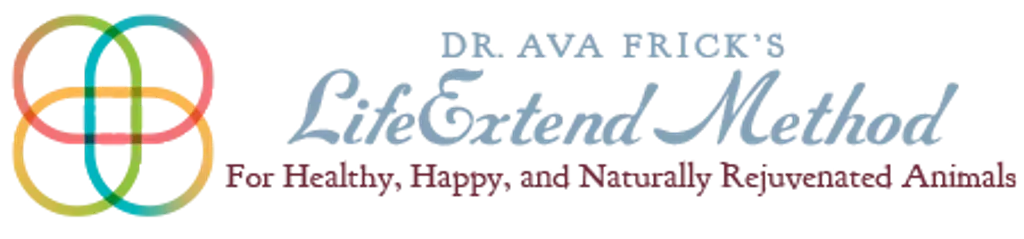 Dr. Ava Frick Animal HTMA Test | Nutrients Deficiency and Heavy Metal Toxicity Test | Holistic Healthcare for Dogs & Cats