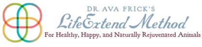 Dr. Ava Frick Animal HTMA Test | Nutrients Deficiency and Heavy Metal Toxicity Test | Holistic Healthcare for Dogs & Cats
