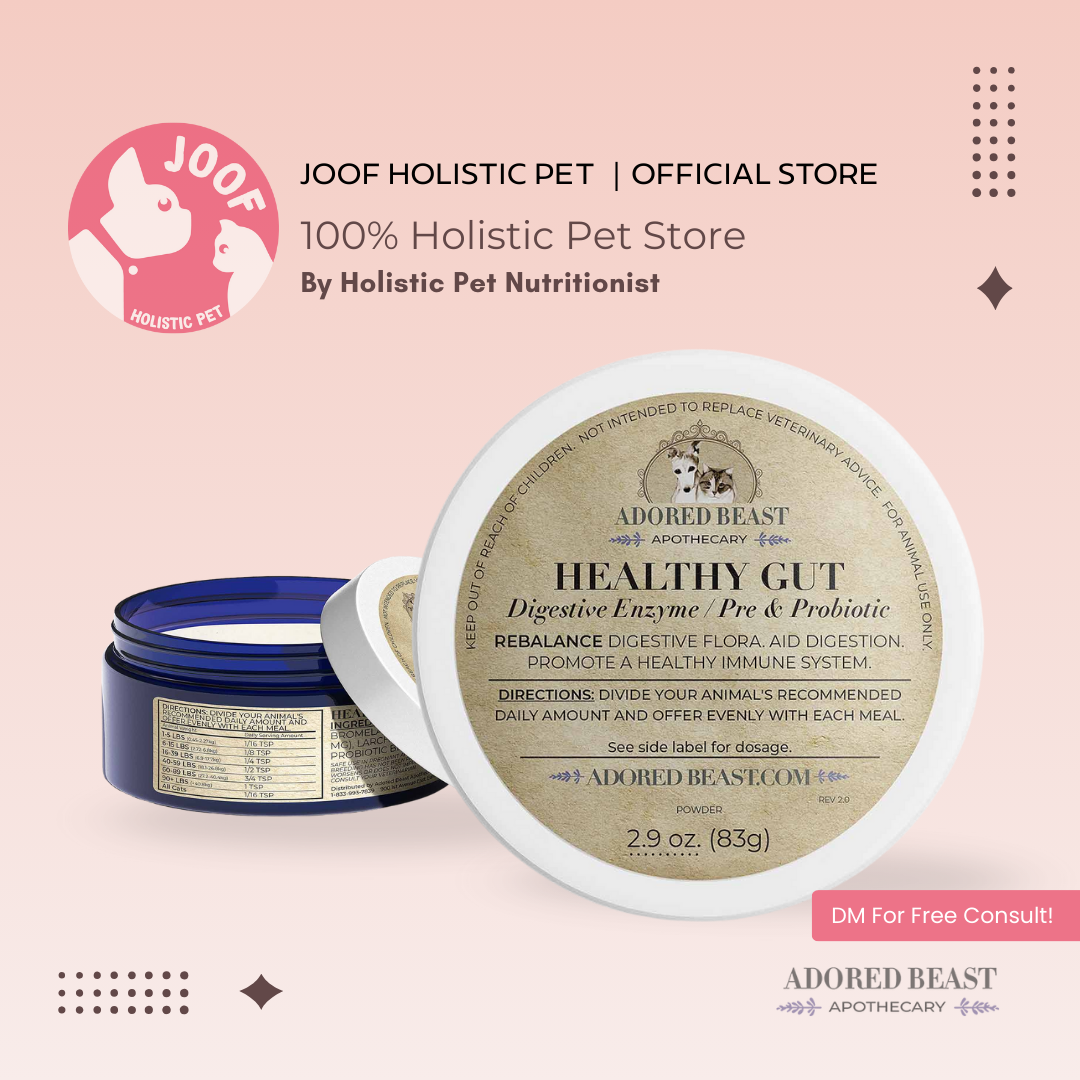 Adored Beast Healthy Gut (41g & 83g) Digestive Enzyme Probiotic Gut Health Support for Dogs and Cats