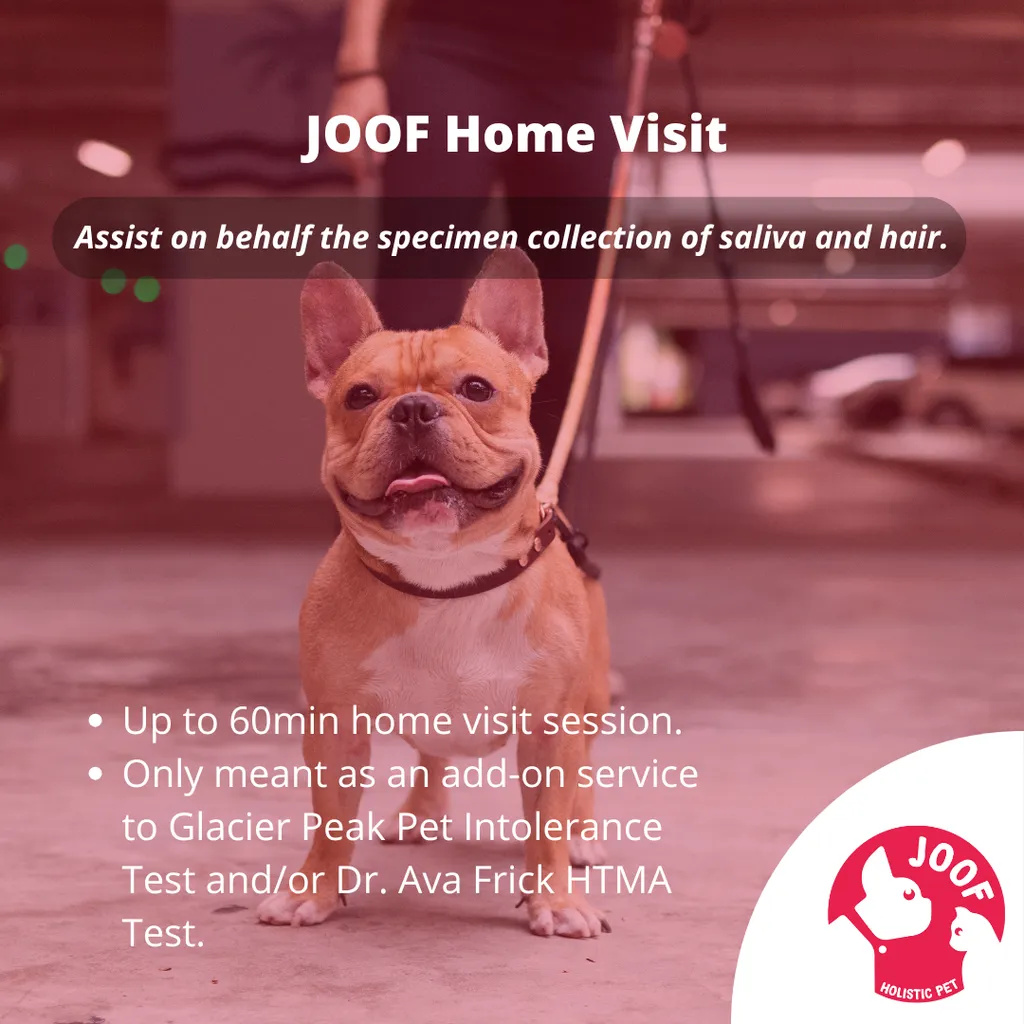JOOF Home Visit Add-On Service