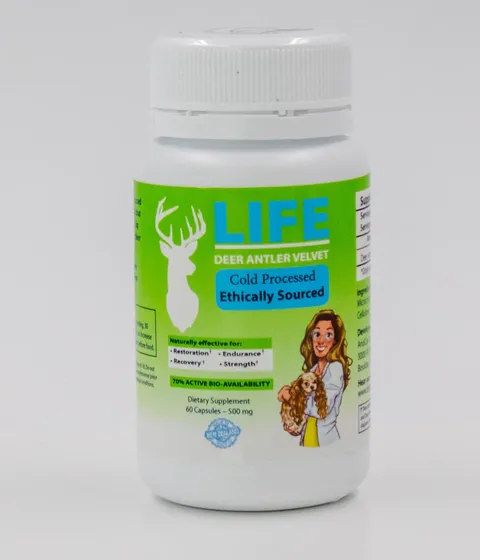 Dr Judy Morgan's LIFE Deer Antler Velvet - Joint Health Support | Holistic Healthcare for Dogs, Cats and Pet Parents