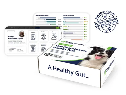 AnimalBiome Gut Health Test | Gut Microbiome Test | Holistic Healthcare for Dogs & Cats