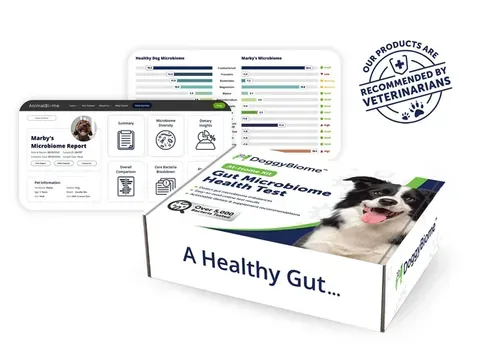 AnimalBiome Gut Health Test | Gut Microbiome Test | Holistic Healthcare for Dogs & Cats