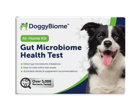 AnimalBiome Gut Health Test | Gut Microbiome Test | Holistic Healthcare for Dogs & Cats