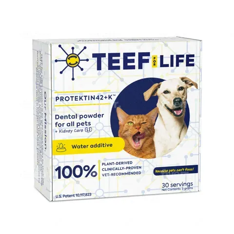 TEEF for Life Protektin42+K Dental Kit | Prebiotic Dental Powder for ALL pets (Sodium-free) | Holistic Healthcare for Dogs and Cats
