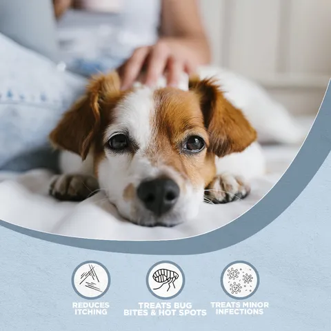 Farm Dog Naturals Restore Salve | Itch Relief Hot Spot Rash Inflamed Topical Support | Holistic Grooming Care for Dogs