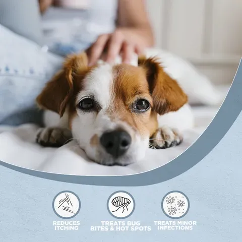 Farm Dog Naturals Restore Salve | Itch Relief Hot Spot Rash Inflamed Topical Support | Holistic Grooming Care for Dogs