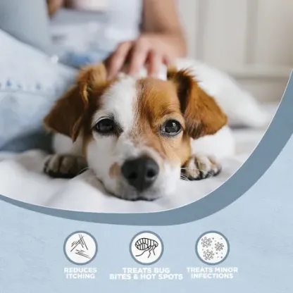 Farm Dog Naturals Restore Salve | Itch Relief Hot Spot Rash Inflamed Topical Support | Holistic Grooming Care for Dogs