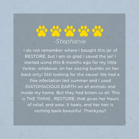 Farm Dog Naturals Restore Salve | Itch Relief Hot Spot Rash Inflamed Topical Support | Holistic Grooming Care for Dogs