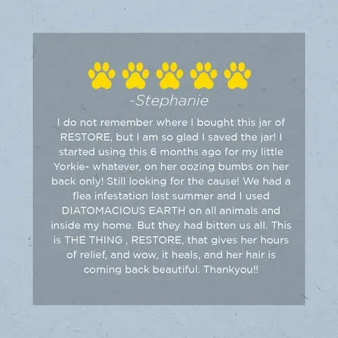 Farm Dog Naturals Restore Salve | Itch Relief Hot Spot Rash Inflamed Topical Support | Holistic Grooming Care for Dogs
