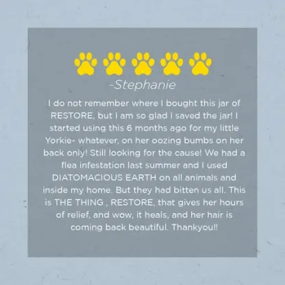 Farm Dog Naturals Restore Salve | Itch Relief Hot Spot Rash Inflamed Topical Support | Holistic Grooming Care for Dogs