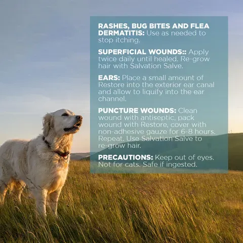 Farm Dog Naturals Restore Salve | Itch Relief Hot Spot Rash Inflamed Topical Support | Holistic Grooming Care for Dogs