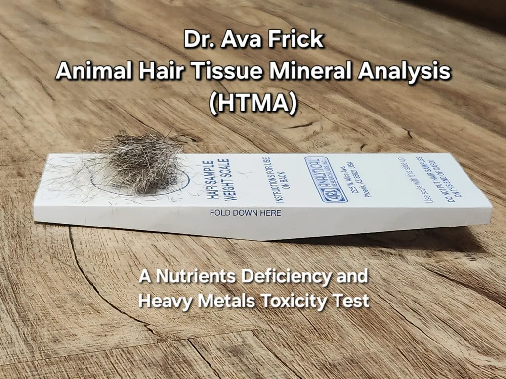 Dr. Ava Frick Animal HTMA Test | Nutrients Deficiency and Heavy Metal Toxicity Test | Holistic Healthcare for Dogs & Cats