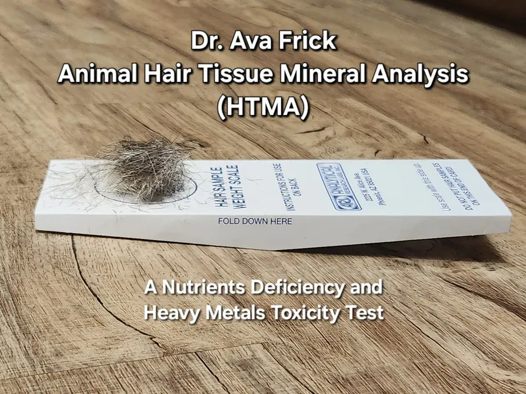 Dr. Ava Frick Animal HTMA Test | Nutrients Deficiency and Heavy Metal Toxicity Test | Holistic Healthcare for Dogs & Cats