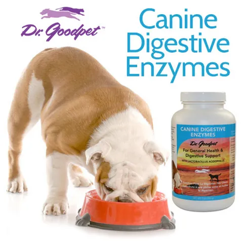 Dr. Goodpet Canine Digestive Enzymes™ (7oz) | Digestive Pancreatitis Support | Holistic Healthcare for Dogs