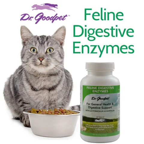 Dr. Goodpet Feline Digestive Enzymes™ (4oz) | Digestive Pancreatitis Support | Holistic Healthcare for Cats