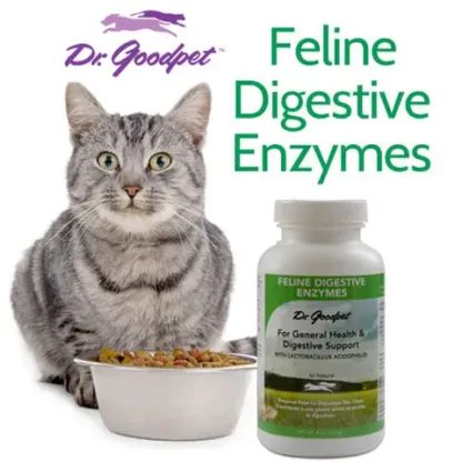 Dr. Goodpet Feline Digestive Enzymes™ (4oz) | Digestive Pancreatitis Support | Holistic Healthcare for Cats