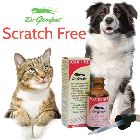 Dr. Goodpet Scratch Free™ (1oz) | Itch Relief Support | Holistic Healthcare for Dogs and Cats