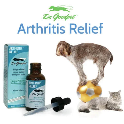 Dr. Goodpet Arthritis Relief ™ (1oz) | Arthritis Joint Support | Holistic Healthcare for Dogs and Cats