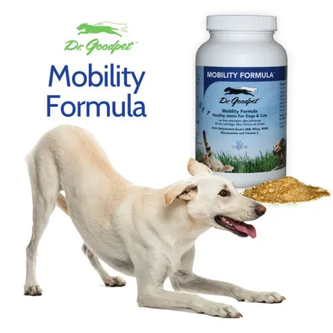 Dr. Goodpet Mobility Formula™ (8oz) | Arthritis Joint Support | Holistic Healthcare for Dogs and Cats