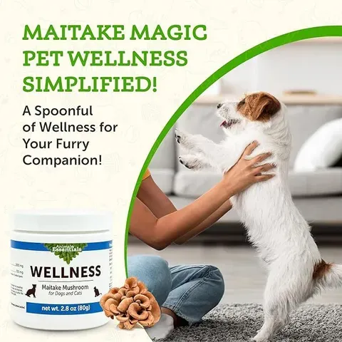 Animal Essentials Maitake Wellness Mushroom (80g) | Immune Diabetes Cancer Support | Holistic Healthcare for Dogs & Cats