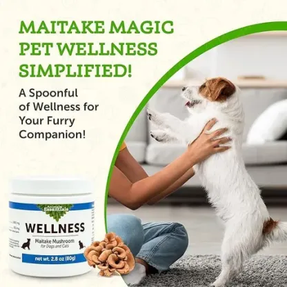 Animal Essentials Maitake Wellness Mushroom (80g) | Immune Diabetes Cancer Support | Holistic Healthcare for Dogs & Cats