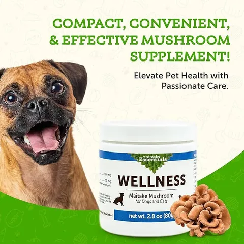 Animal Essentials Maitake Wellness Mushroom (80g) | Immune Diabetes Cancer Support | Holistic Healthcare for Dogs & Cats