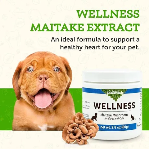 Animal Essentials Maitake Wellness Mushroom (80g) | Immune Diabetes Cancer Support | Holistic Healthcare for Dogs & Cats