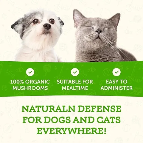 Animal Essentials Maitake Wellness Mushroom (80g) | Immune Diabetes Cancer Support | Holistic Healthcare for Dogs & Cats