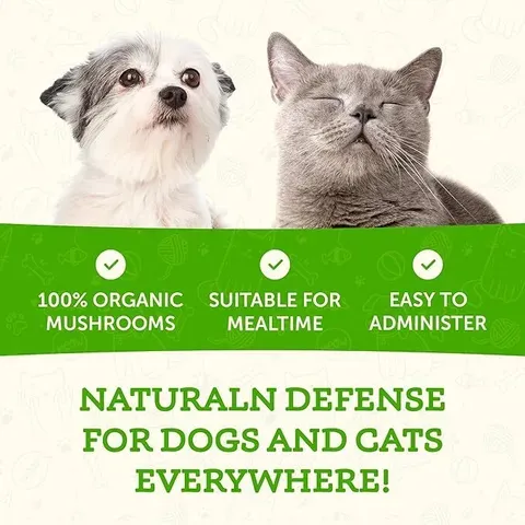 Animal Essentials Maitake Wellness Mushroom (80g) | Immune Diabetes Cancer Support | Holistic Healthcare for Dogs & Cats
