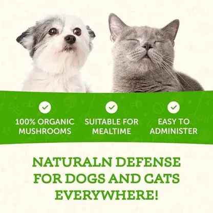 Animal Essentials Maitake Wellness Mushroom (80g) | Immune Diabetes Cancer Support | Holistic Healthcare for Dogs & Cats