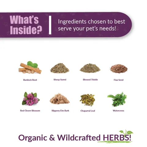 Amber Naturalz Life Cell Support® | Liver & Lymphatic Support | Holistic Healthcare for Dogs and Cats