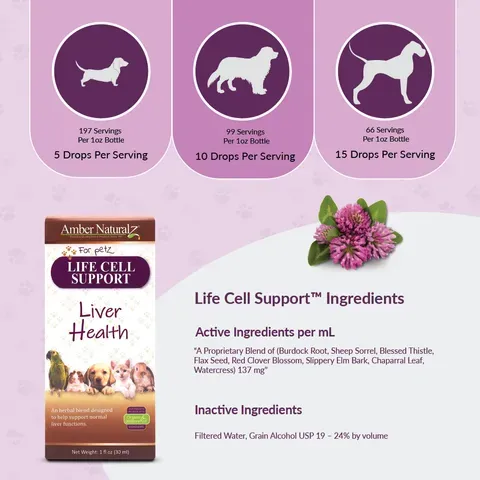 Amber Naturalz Life Cell Support® | Liver & Lymphatic Support | Holistic Healthcare for Dogs and Cats