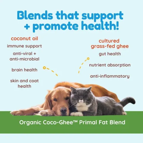 CocoTherapy Coco-Ghee (7.5oz) | Gut, Digestion, Nutrient Absorption, Skin Support | Holistic Healthcare for Dogs, Cats and Pet Parents