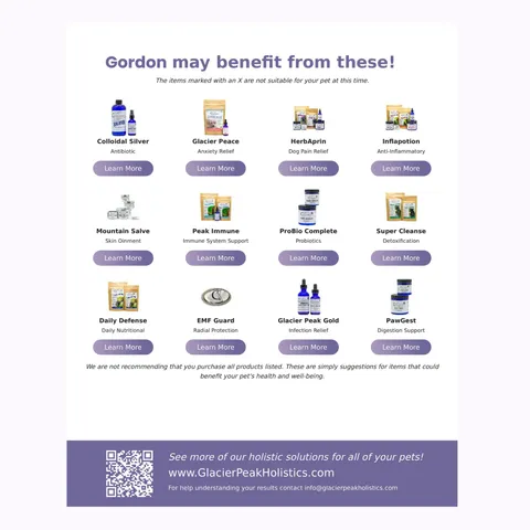 Glacier Peak Pet Intolerance Test | Food & Environmental Sensitivity Test | Holistic Healthcare for Dogs & Cats