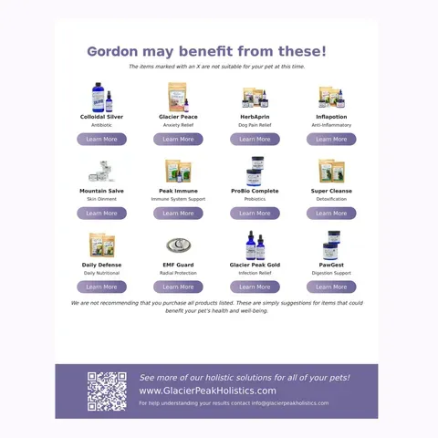 Glacier Peak Pet Intolerance Test | Food & Environmental Sensitivity Test | Holistic Healthcare for Dogs & Cats
