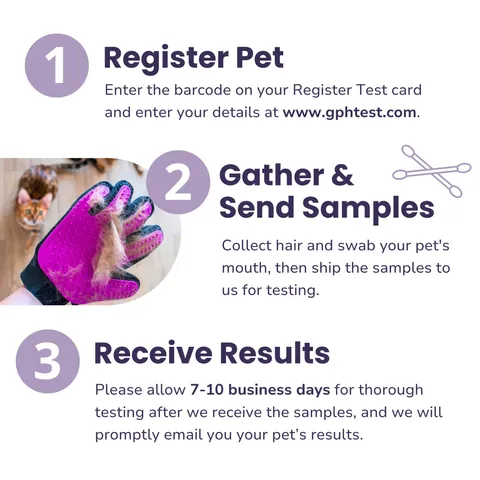 Glacier Peak Pet Intolerance Test | Food & Environmental Sensitivity Test | Holistic Healthcare for Dogs & Cats