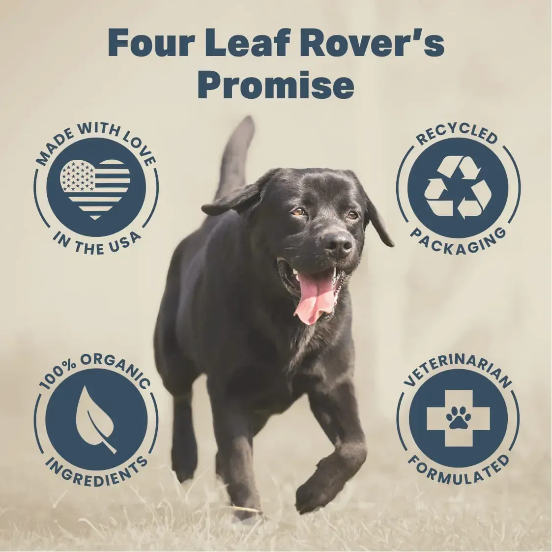Four Leaf Rover Collagen | Joint Gut Skin Support | Holistic Healthcare for Dogs