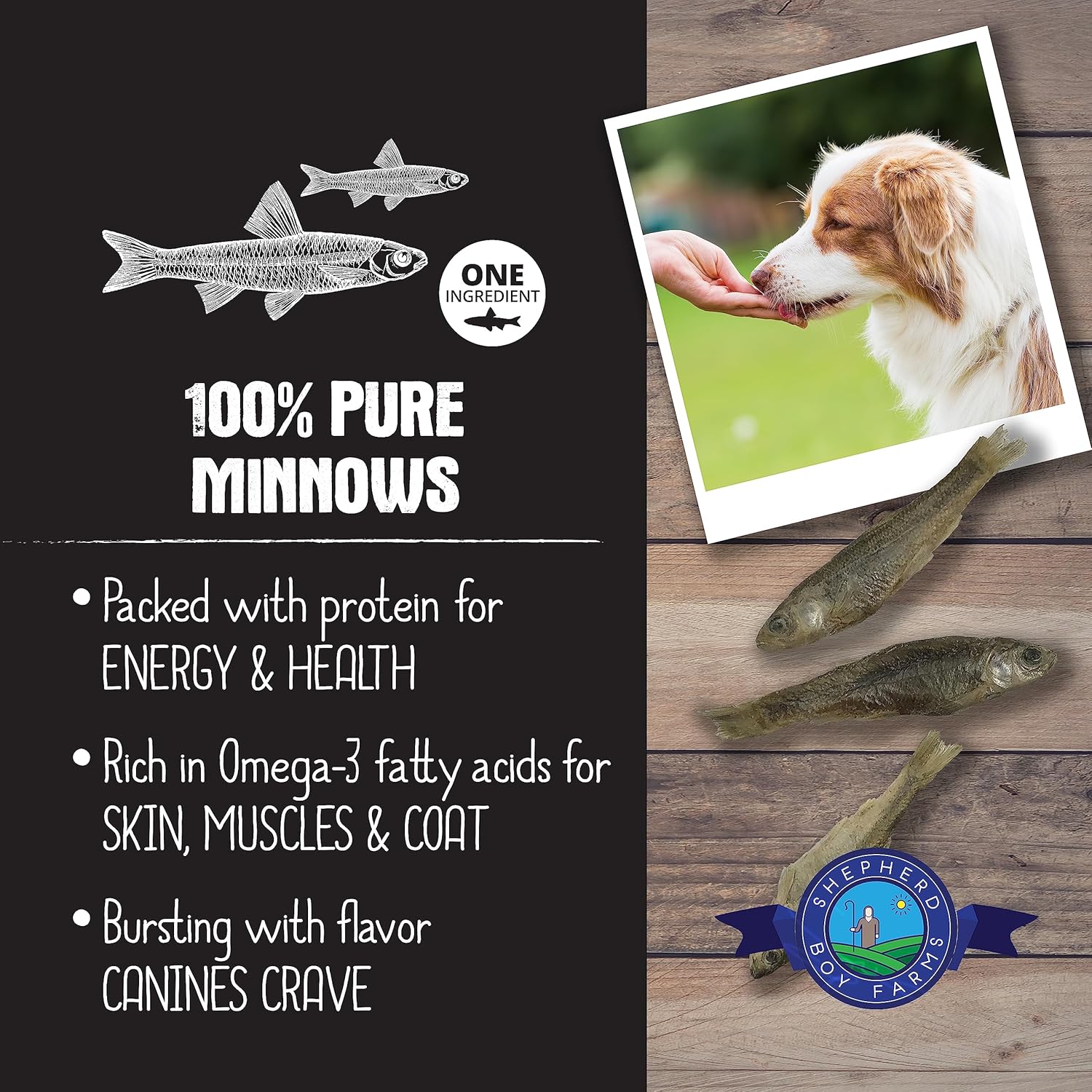 Shepherd Boy Farms Minnows (2oz) Freeze Dried Omega 3 Skin Coat Brain Support Treat for Dogs and Cats