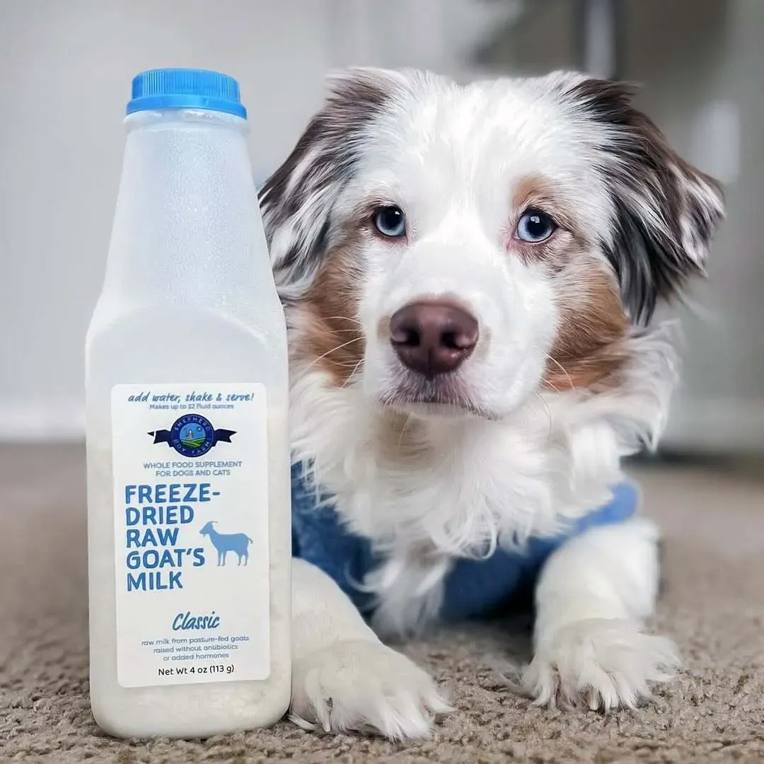Shepherd Boy Farms Classic Raw Goat's Milk | Freeze-Dried Whole Food Toppers For Dogs and Cats | Premium Pet Food