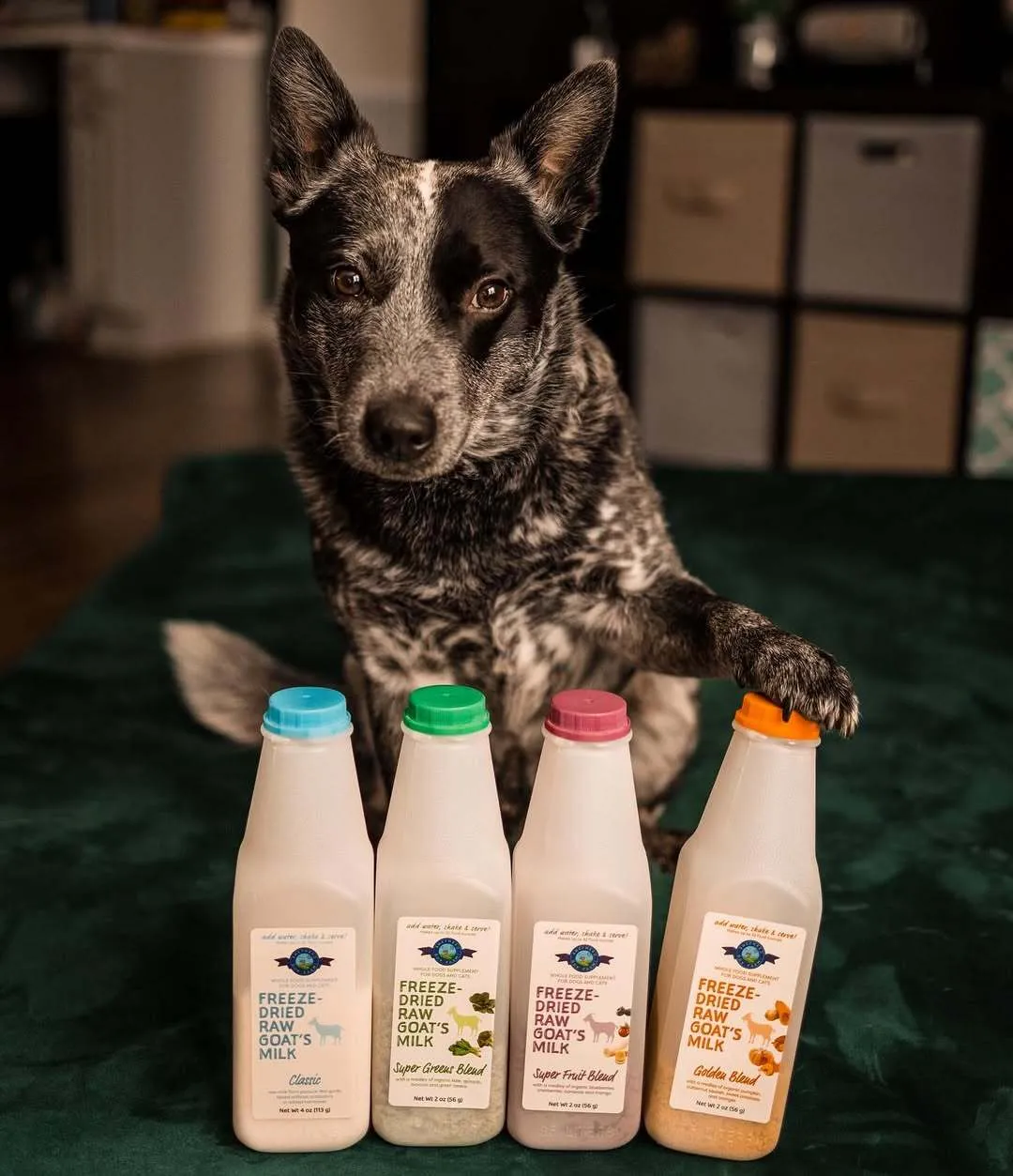Shepherd Boy Farms Classic Raw Goat's Milk | Freeze-Dried Whole Food Toppers For Dogs and Cats | Premium Pet Food