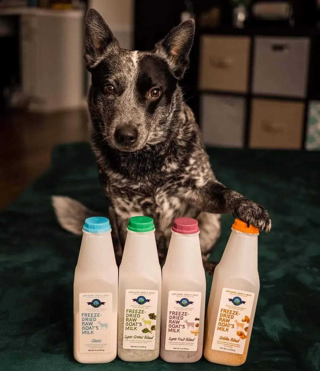 Shepherd Boy Farms Classic Raw Goat's Milk | Freeze-Dried Whole Food Toppers For Dogs and Cats | Premium Pet Food