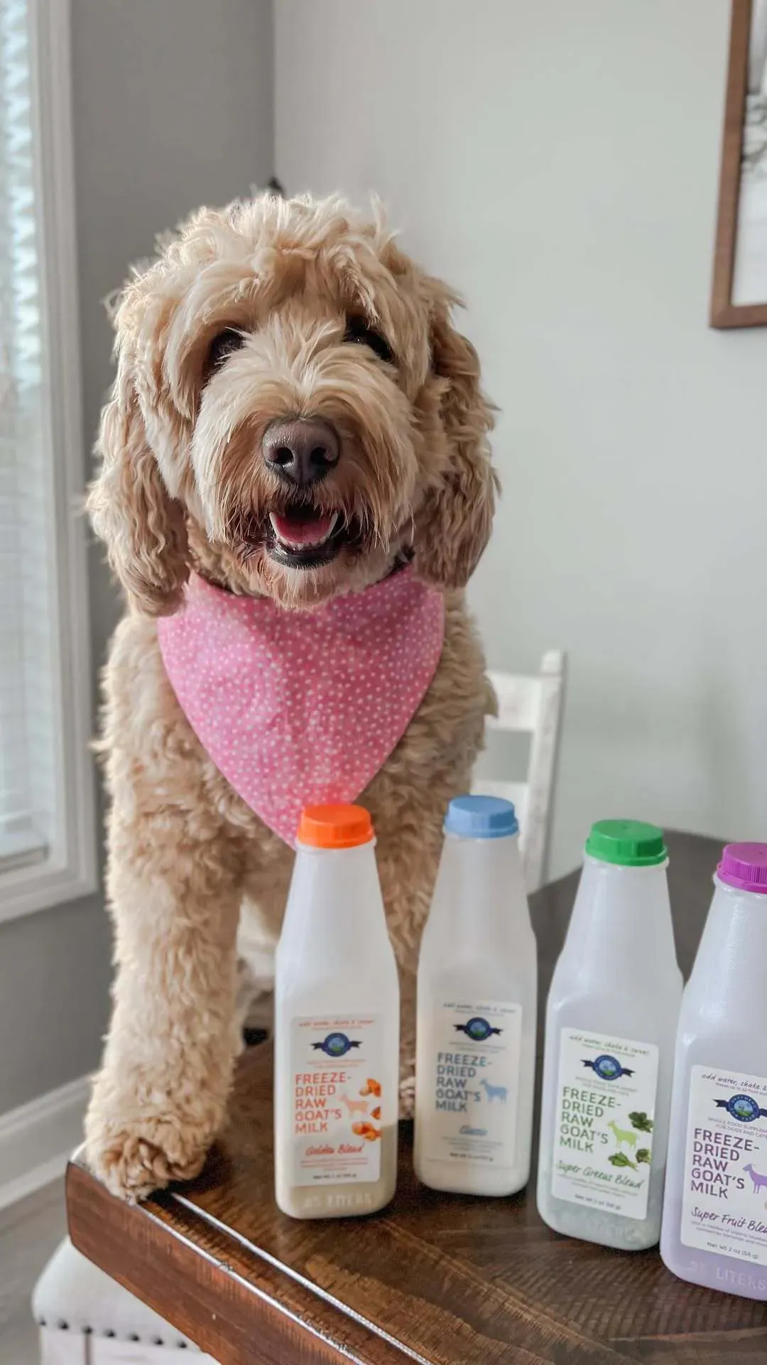 Shepherd Boy Farms Classic Raw Goat's Milk | Freeze-Dried Whole Food Toppers For Dogs and Cats | Premium Pet Food
