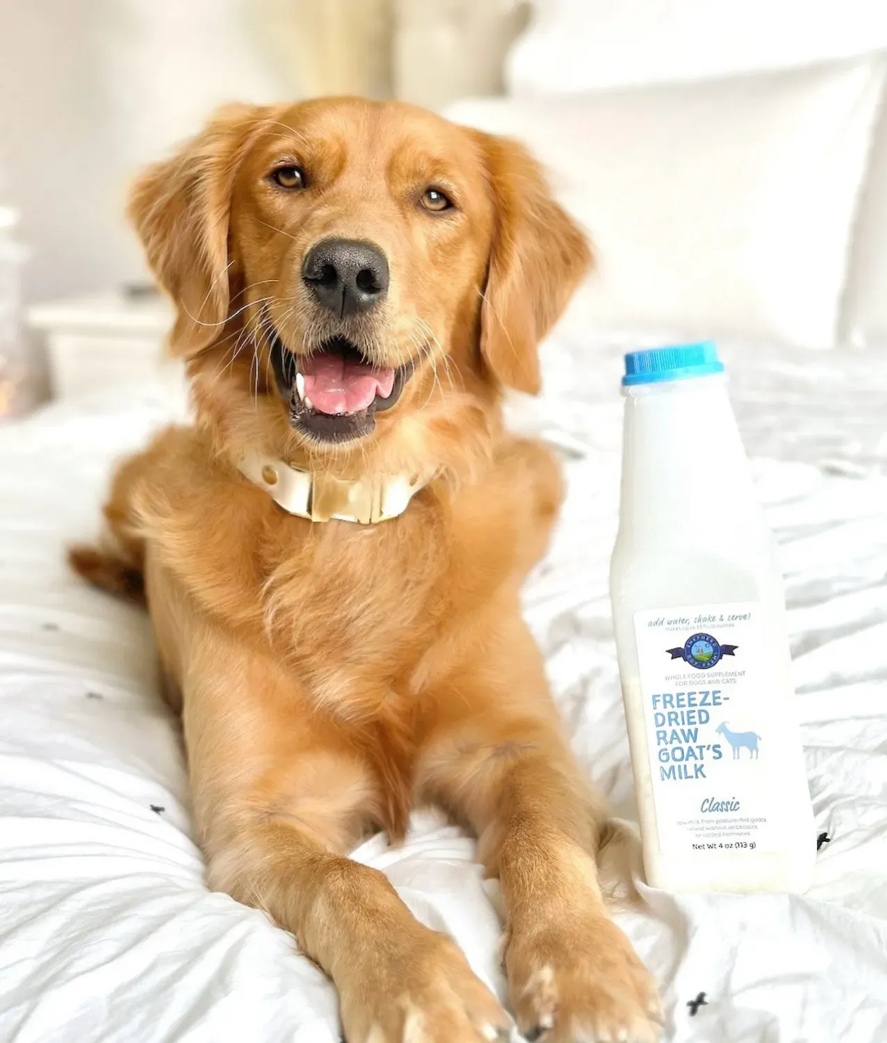 Shepherd Boy Farms Classic Raw Goat's Milk | Freeze-Dried Whole Food Toppers For Dogs and Cats | Premium Pet Food
