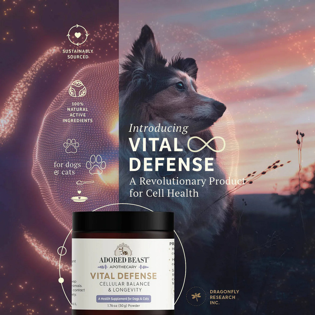 Adored Beast Vital Defense | Super Antioxidant Immune Cellular Support | Holistic Healthcare for Dogs & Cats