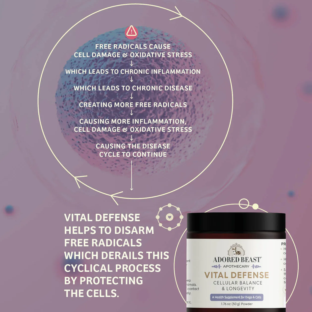 Adored Beast Vital Defense | Super Antioxidant Immune Cellular Support | Holistic Healthcare for Dogs & Cats